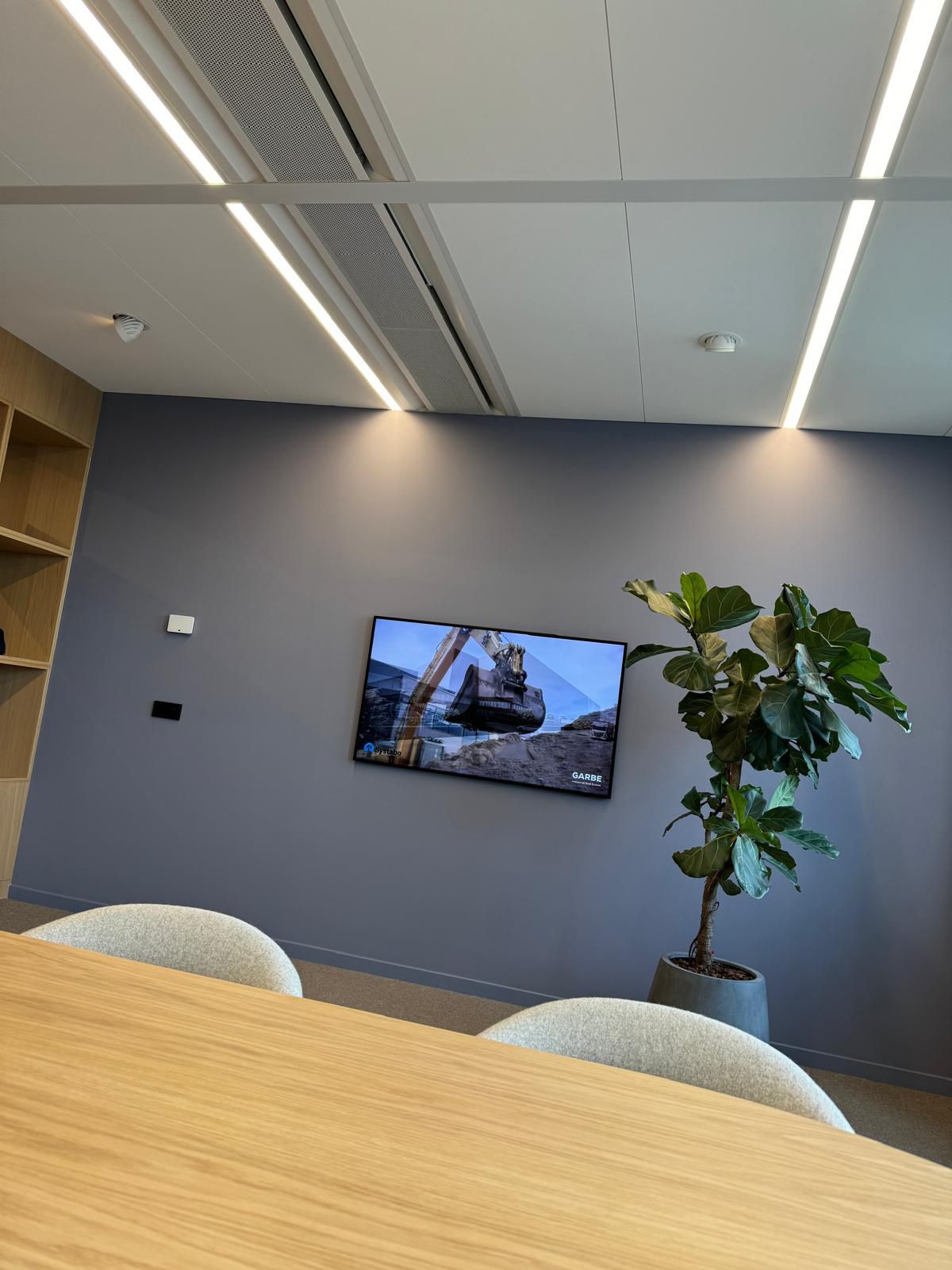 Modern meeting room with a wooden table, a TV displaying construction equipment, and a potted plant against a blue wall.